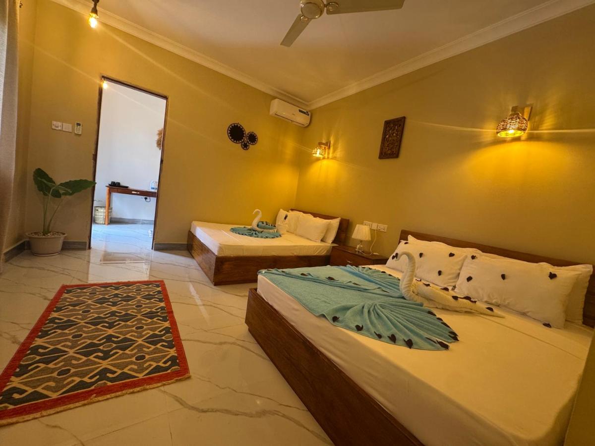 Twin beds in a room with a patterned rug