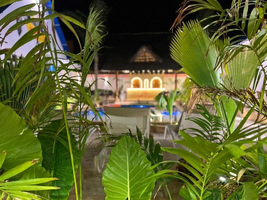 Palms in the garden at Kendwa Sky Hotel